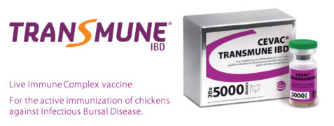 CEVAC® TRANSMUNE IBD