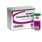 Cevac-TRANSMUNE-BottleBox