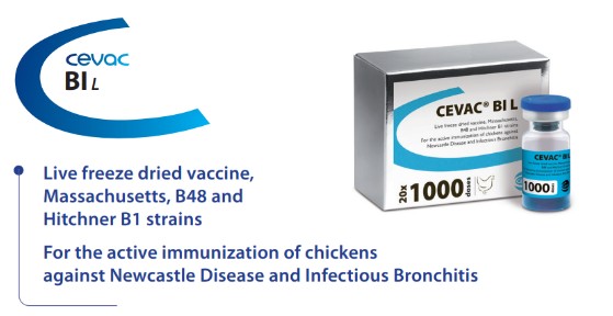 CEVAC® Bl L