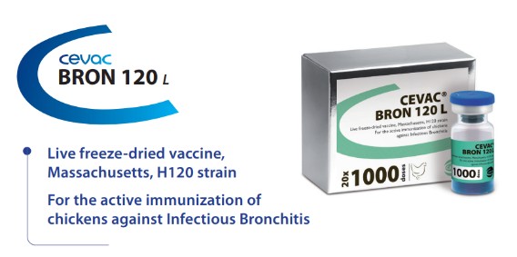 CEVAC® BRON 120 L