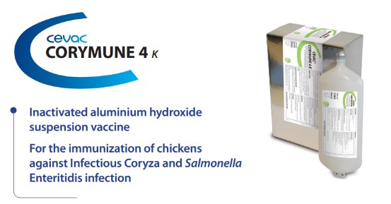 CEVAC® CORYMUNE 4 K