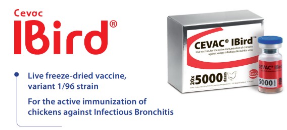 CEVAC® IBIRD
