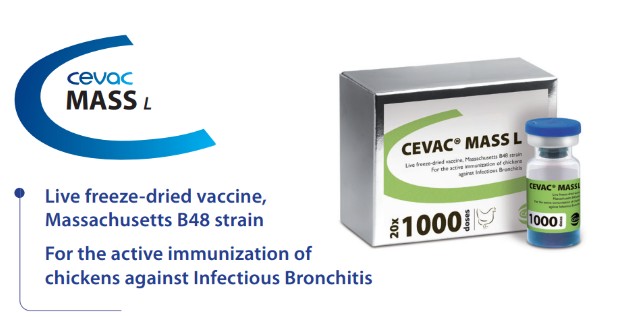 CEVAC® MASS L