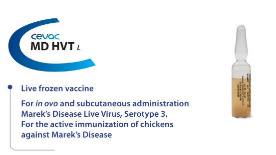 CEVAC MD® HVT