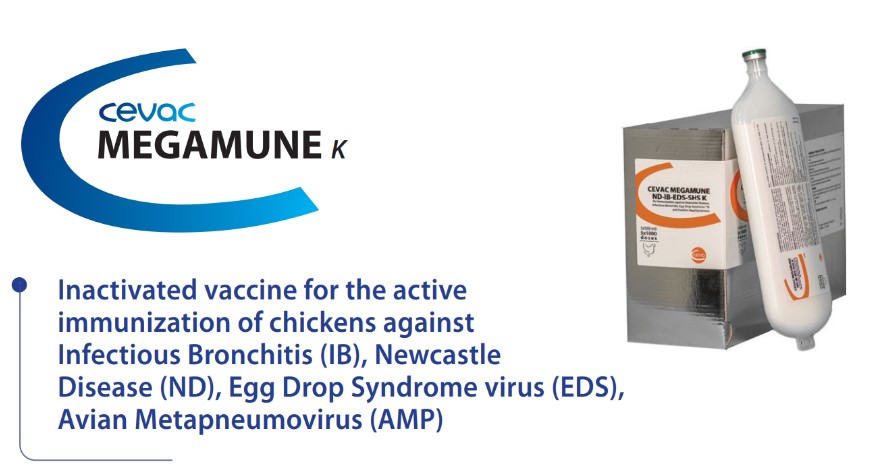 CEVAC® MEGAMUNE ND-IB-EDS-SHS K