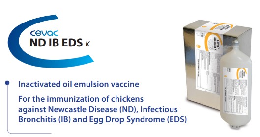 CEVAC® ND IB EDS K