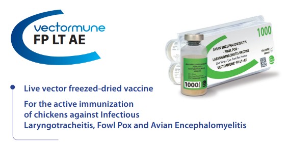 VECTORMUNE® FP-LT +AE